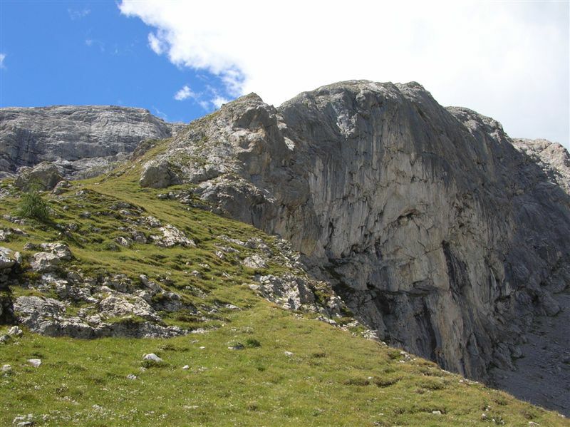 foto (17).jpg